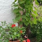 Gartenblick Daire