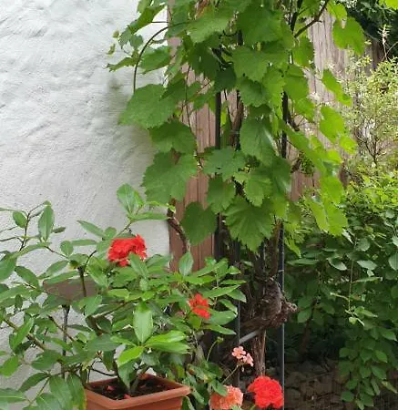 Gartenblick Apartment