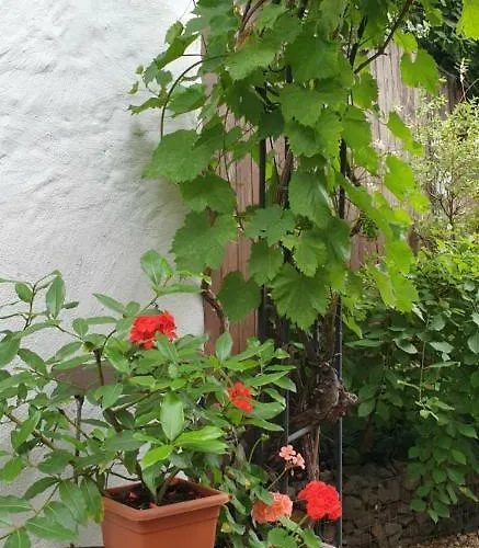 Gartenblick דירה